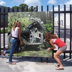 Fans :-)